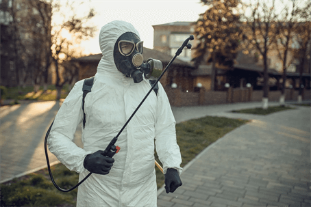 Pest Issue in Boise Schools